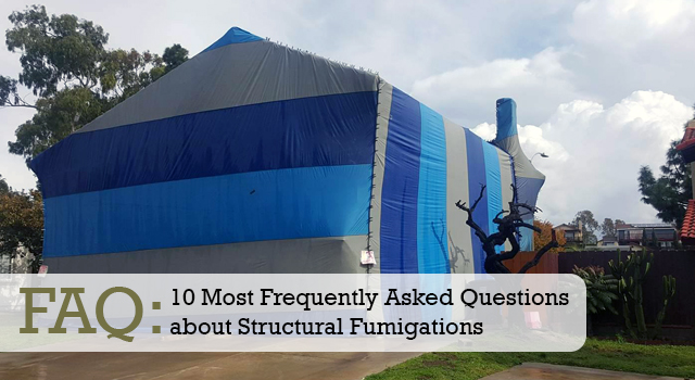 FAQ: 10 Most Frequently Asked Questions about Structural Fumigations