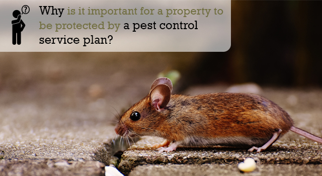 Why is it important for a property to be protected by a pest control service plan?