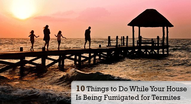10 Things to Do While Your House Is Being Fumigated for Termites