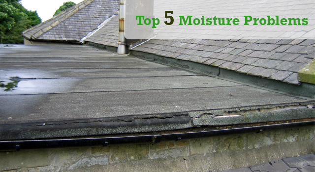 The 5 Most Common Excessive Moisture Problems