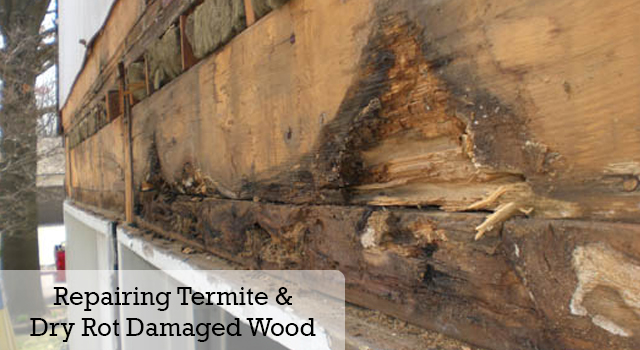 Repairing Termite and Dry Rot Damaged Wood