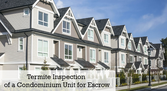 Termite inspection of a condominium unit for escrow