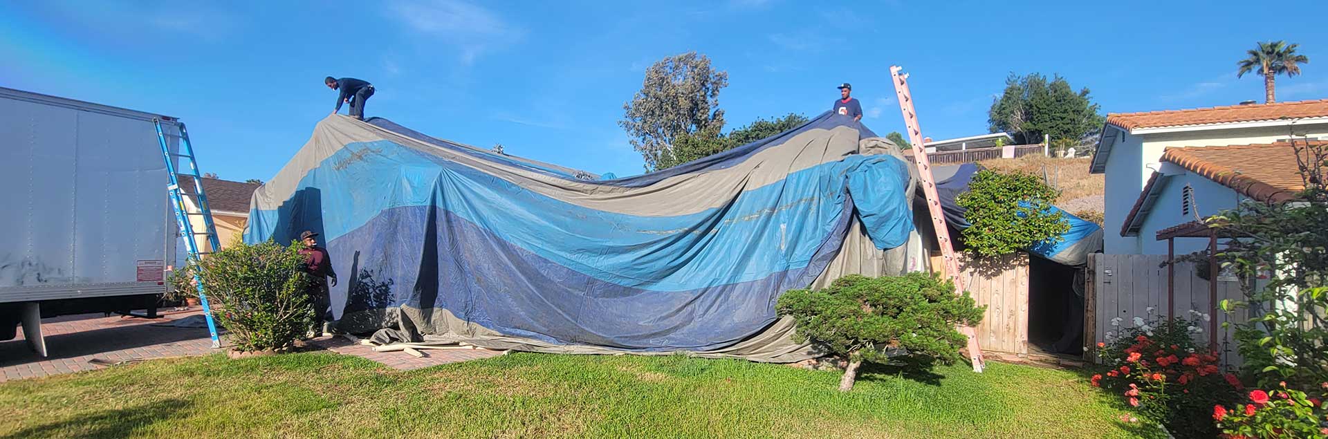 How much do fumigations / tenting cost?