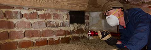 Inspector examining a foundation area for subterranean termite evidence